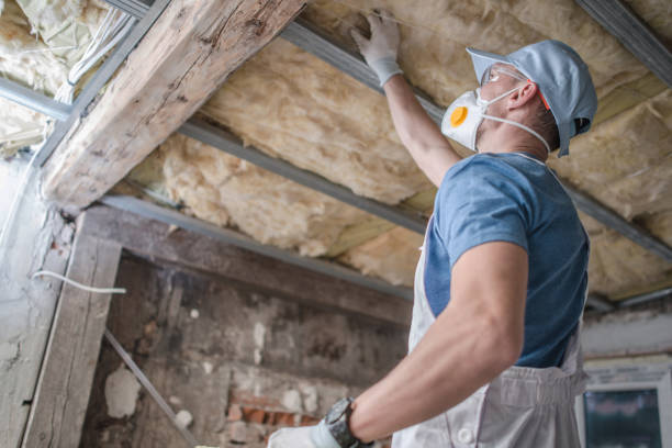 Best Insulation Materials and Products in Old Stine, CA